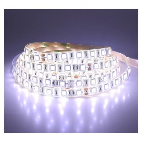 Ruban LED - 5m - 72W - 12V - 6000K - IP65 - Dimmable