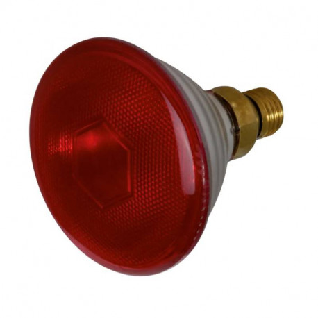 Lampe à incandescence IR Sylvania - PAR38 - 175W
