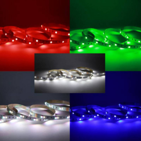 RUBAN LED - 9W/M - 24VDC - RGB+W - (rouleau de 5m)