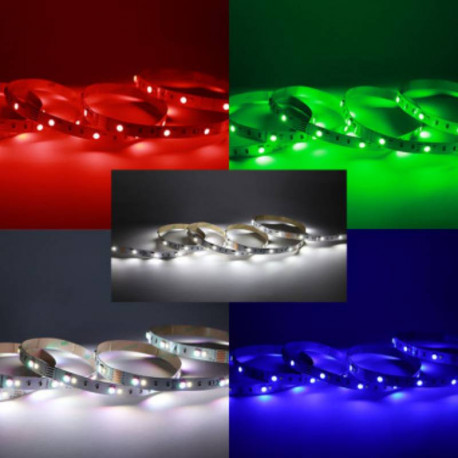 RUBAN LED - 9W/M - 12VDC - RGB+W - (rouleau de 5m)