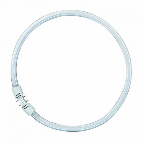 Tube fluorescent circulaire LUMILUX T5 FC 2GX13 40W