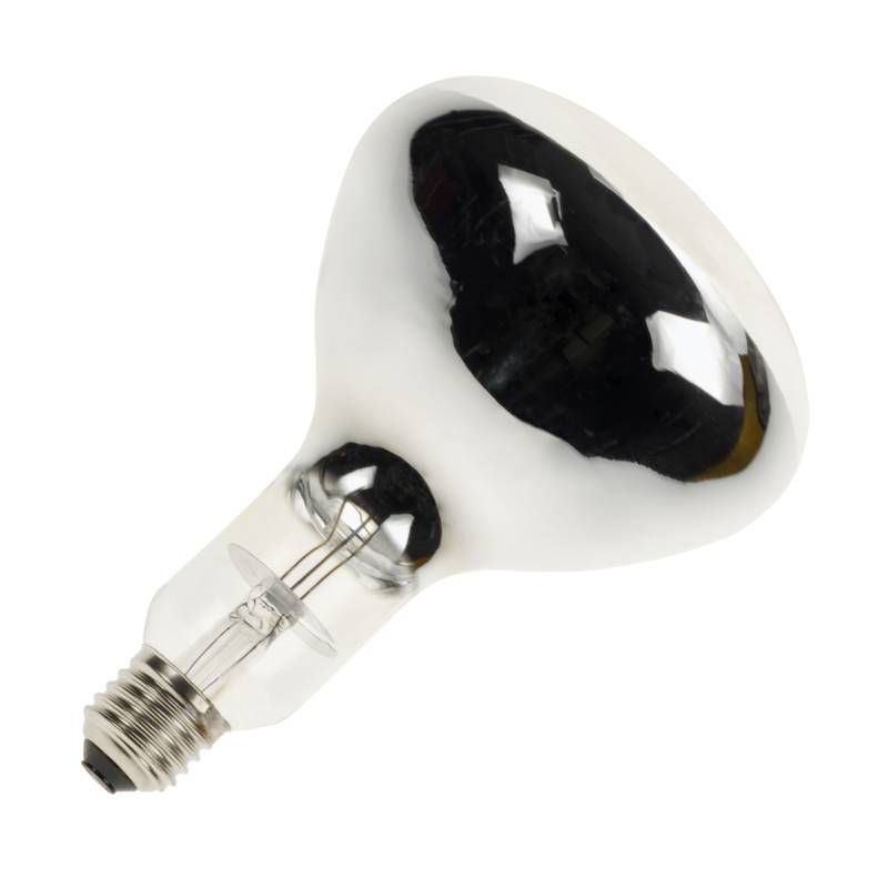                         Ampoule infrarouge R125 Bailey - Avec réflecteur - E27 - 250W - 240V