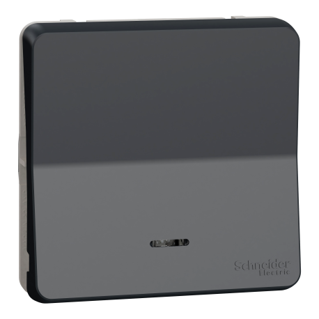 Bouton poussoir lumineux LED à connexion automatique IP55 IK08 - Composable - Gris anthracite - Mureva Styl
