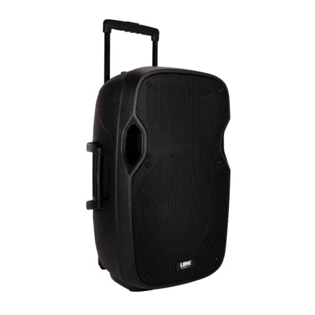 ENCEINTE NOMADE - KARAOKE - 2 MICROS - 480W
