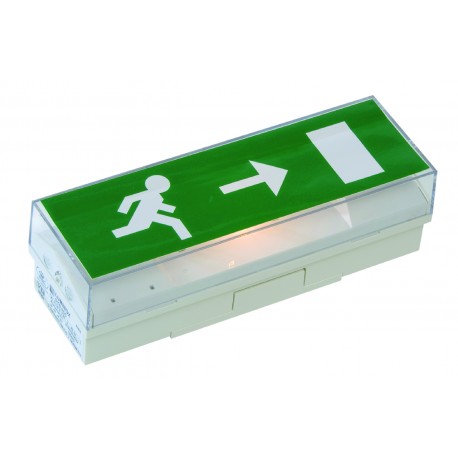 Luminaire d'évacuation / bloc de sécurité STD65 - Signalisation d'évacuation - Débrochable