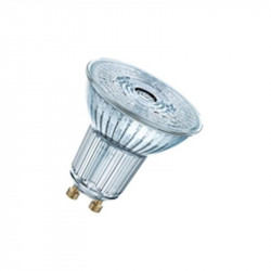 LED Réflecteur 230V