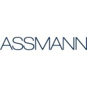 Assmann Electronic